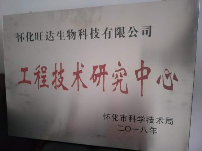 热烈祝贺平博·(pinnacle)官方网站荣获“怀化市工程技术研究中心”称号
